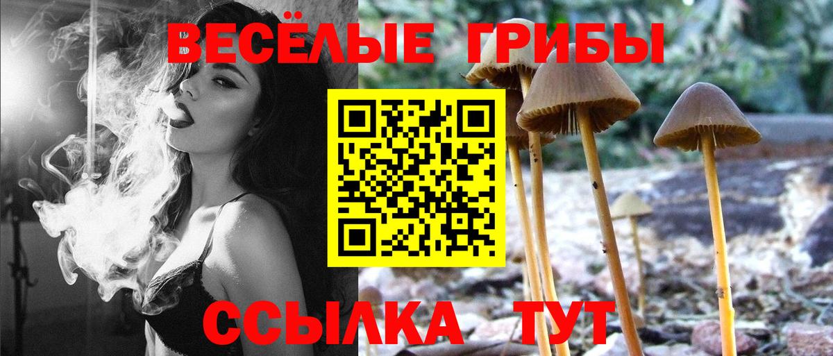 Псилоцибиновые грибы Magic Shrooms Нижнекамск