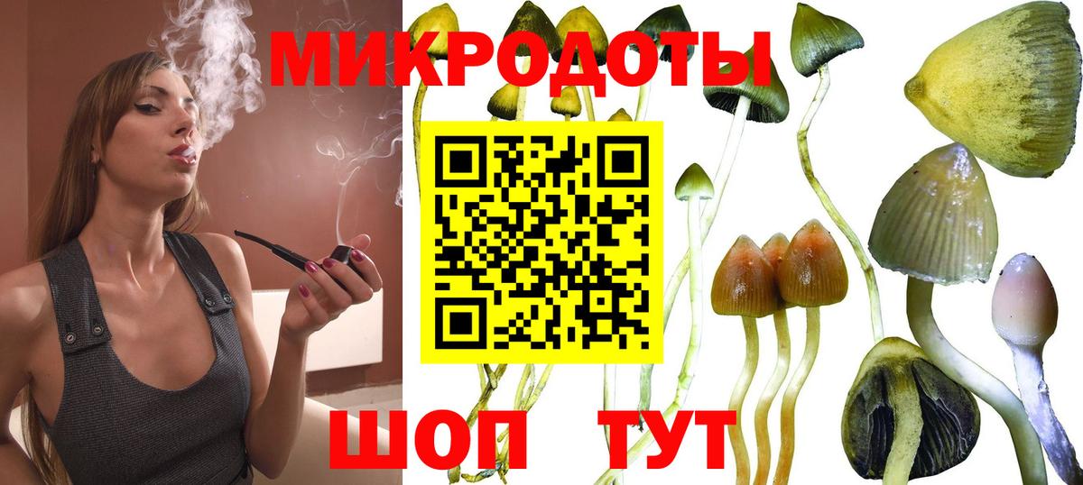 сколько стоит  Галлюциногенные грибы прущие грибы  Нижнекамск  Вход с VPN  Галлюциногенные грибы MAGIC MUSHROOMS 